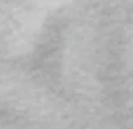 Sportif Gray